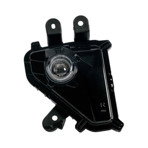 Passenger Side Fog Light Assembly image