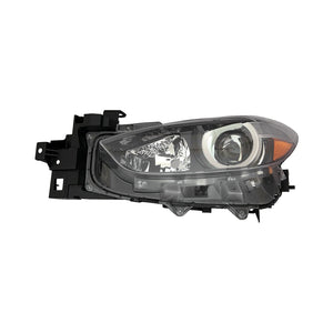 Driver Side Headlight Lens Housing image