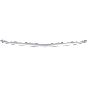 Front Lower Center Bumper Molding image