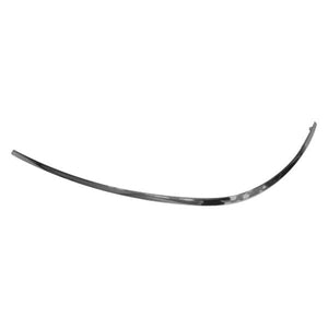 Rear Driver Side Bumper Impact Strip image