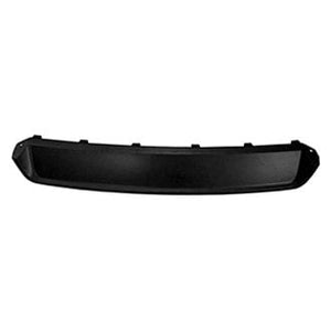 Rear Bumper Valance / Grille Kit image