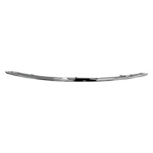 Front Bumper Molding image