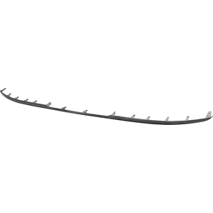 Rear Bumper Molding image