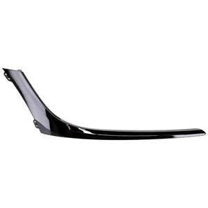 Front Passenger Side Bumper Molding image