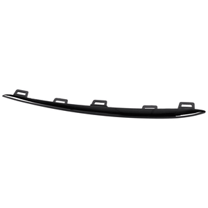 Front Passenger Side Bumper Molding image