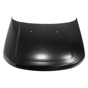 Hood Panel Assembly image