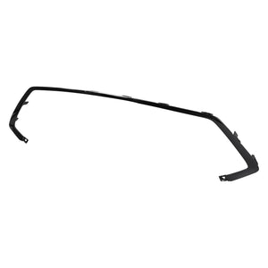 Lower Grille Molding image