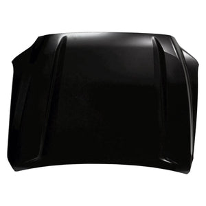 Hood Panel Assembly image