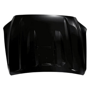 Hood Panel Assembly image